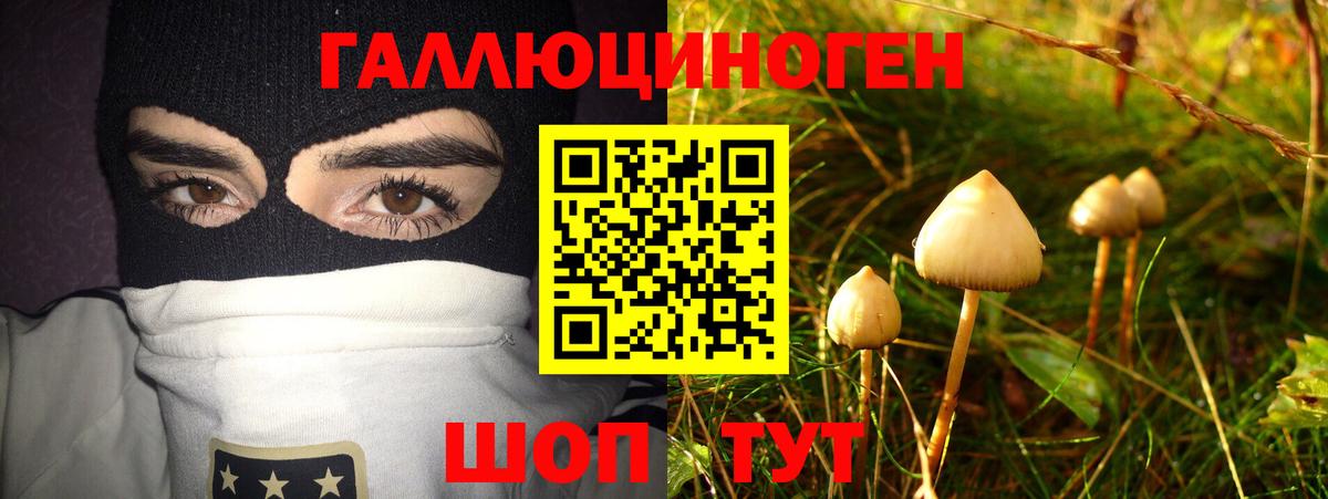 Псилоцибиновые грибы прущие грибы  Галлюциногенные грибы Psilocybine cubensis  Вход с VPN  Аша 